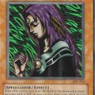 Yu-Gi-Oh! TCG Witch of the Black Forest Pegasus SDP-014 Unlimited Common Yu-Gi-Oh! TCG Witch of the Black Forest Pegasus SDP-014 Unlimited Common