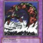 Yu-Gi-Oh! TCG Roaring Ocean Snake Metal Raiders MRD-020 1st Edition Common Collectable Card