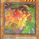 Yu-Gi-Oh! TCG Gora Turtle of Illusion IOC-066 Invasion of Chaos Unlimited Collectable Card
