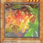 Yu-Gi-Oh! TCG Gora Turtle of Illusion IOC-066 Invasion of Chaos Unlimited Collectable Card
