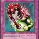 Yu-Gi-Oh! TCG Ultimate Offering SDJ-047 Starter Deck: Joey Unlimited Collectable Card Yu-Gi-Oh! TCG Ultimate Offering SDJ-047 Starter Deck: Joey Unlimited Collectable Card