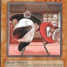 Yu-Gi-Oh! TCG Maji-Gire Panda FET-EN012 Flaming Eternity Unlimited Collectable Card