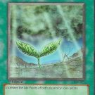 Yu-Gi-Oh! TCG Rain of Mercy PSV-065 Pharaoh's Servant 1st Edition Card Collectable Card