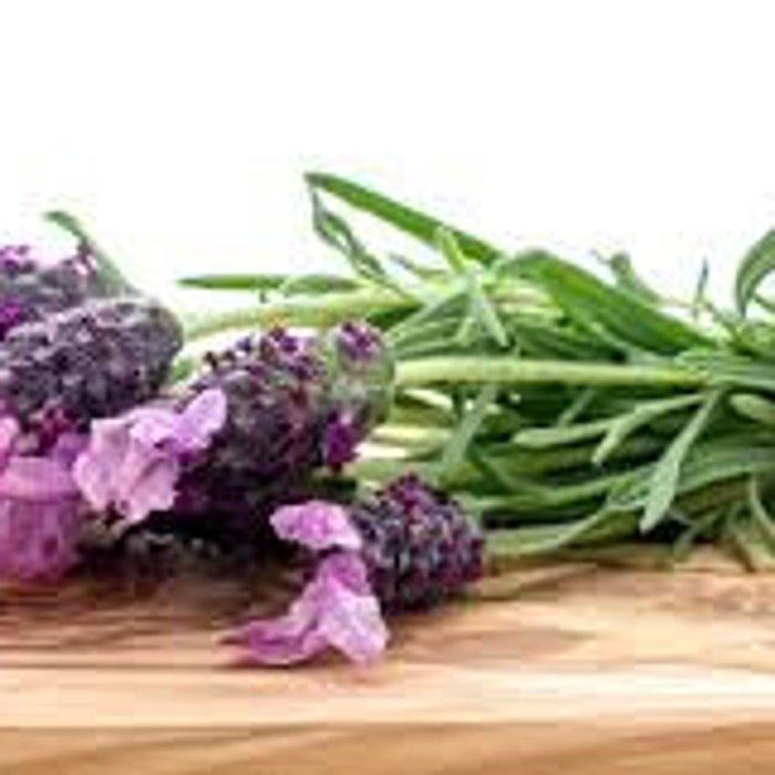 New Bandera Pink Lavender (Lavandula Stoechas 