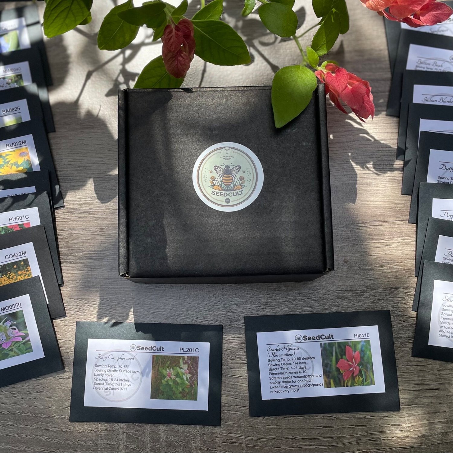 New Florida Native Seed Collection Gift Box 18 Individua Fresh Garden ...