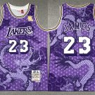 Men Lakers LeBron James Mitchell & Ness Dragon's Basketball Jersey Purple