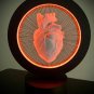 Heart+Beat 3dstl printer