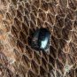 King Cobra Snake's Real Pearl (Nagamani Stone)