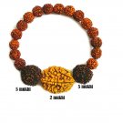 Rudraksha Rudraksha 2&5 Mukhi (Face) Beads Mala Wrist band bracelet Rudraksha Rudraksha 2&5 Mukhi (Face) Beads Mala Wrist band bracelet