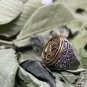 Bhairava Tantra Silver Ring occult power Mass wealth and prosperity in your life