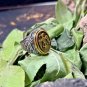 Bhairava Tantra Silver Ring occult power Mass wealth and prosperity in your life