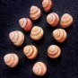 LANs snail shell collectibles 12 PCs shells..size 26 mm..natural