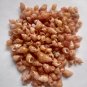 Seashell collectibles..150 pcs smallest snail shells..natural