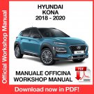 Hyundai Kona 2018-2020 Factory service repair manual