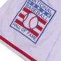 Ernie Banks Chicago Cubs Jersey 1968 Cooperstown Collection