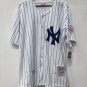 Roy White New York Yankees Jersey pinstripe 1977-78 Mitchell & Ness