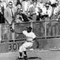 SANDY AMOROS Brooklyn Dodgers Official Baseball Majestic Jersey