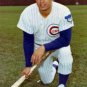 Ron Santo 1969 Chicago Cubs Official Baseball Majestic Jersey
