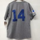Ernie Banks Chicago Cubs Jersey 1968 Cooperstown Collection Mitchell & Ness