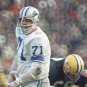 Alex Karras 1969 Detroit Lions Football Mitchell & Ness Jersey
