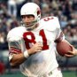 Jackie Smith St. Louis Cardinals Football Mitchell & Ness Jersey white