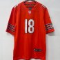 Caleb Williams Chicago Bears Official Football Jersey