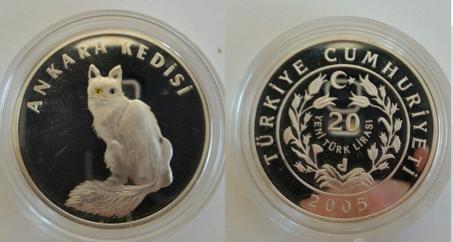 2005 Turkey Large Silver Proof 20 y.lira Cat-colored eyes