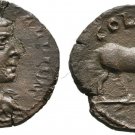 Ancient Rome ALEXANDRIA TROAS 253-260 AD Gallienus VALERIAN  Horse #2