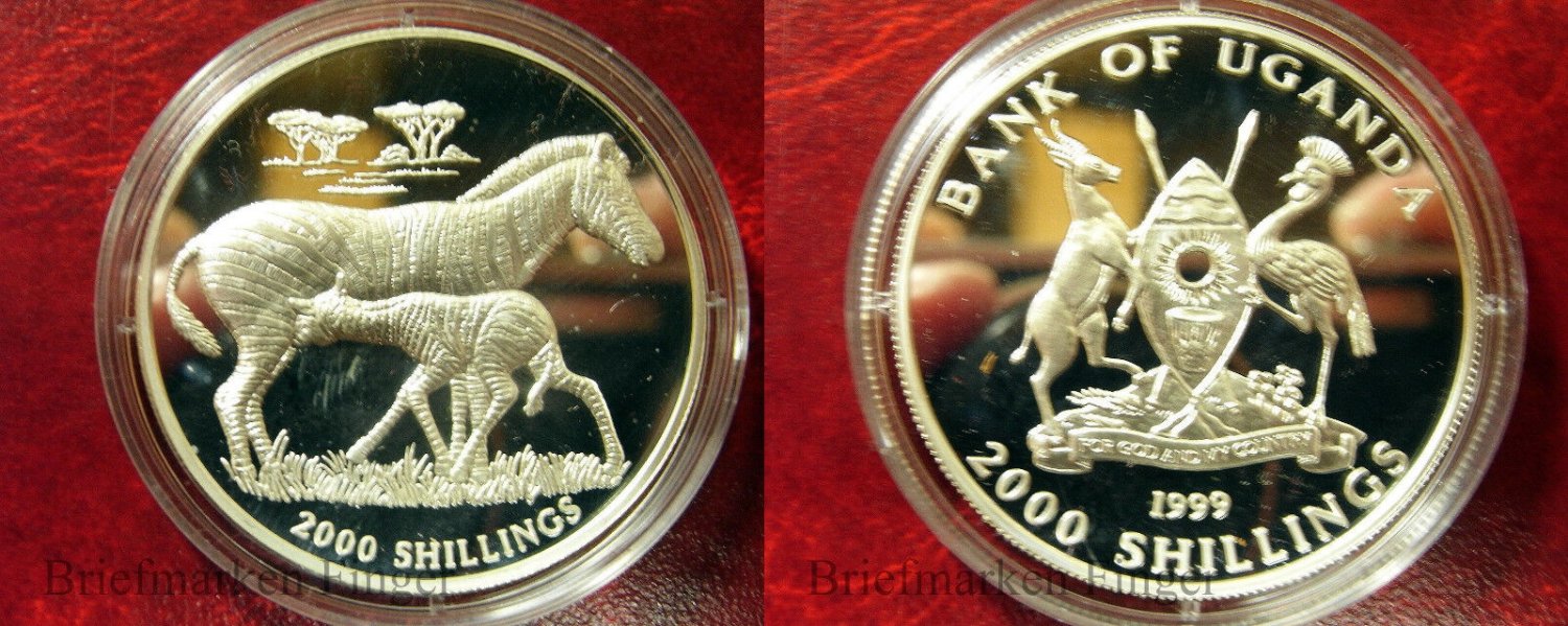 1999 Uganda Large Silver Proof 2000 shillings- Zebra