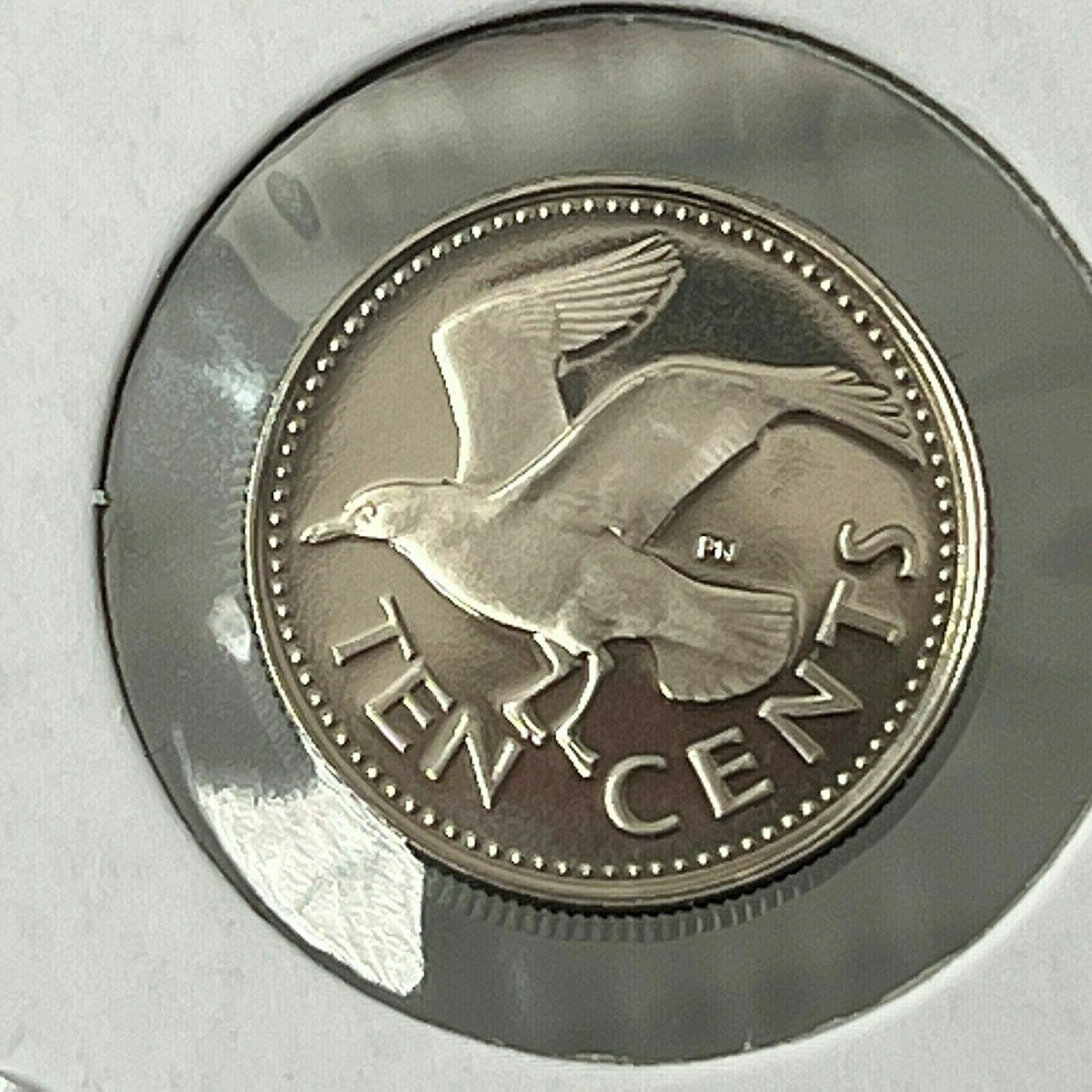 1978 Barbados Proof 10 C Tern bird flying
