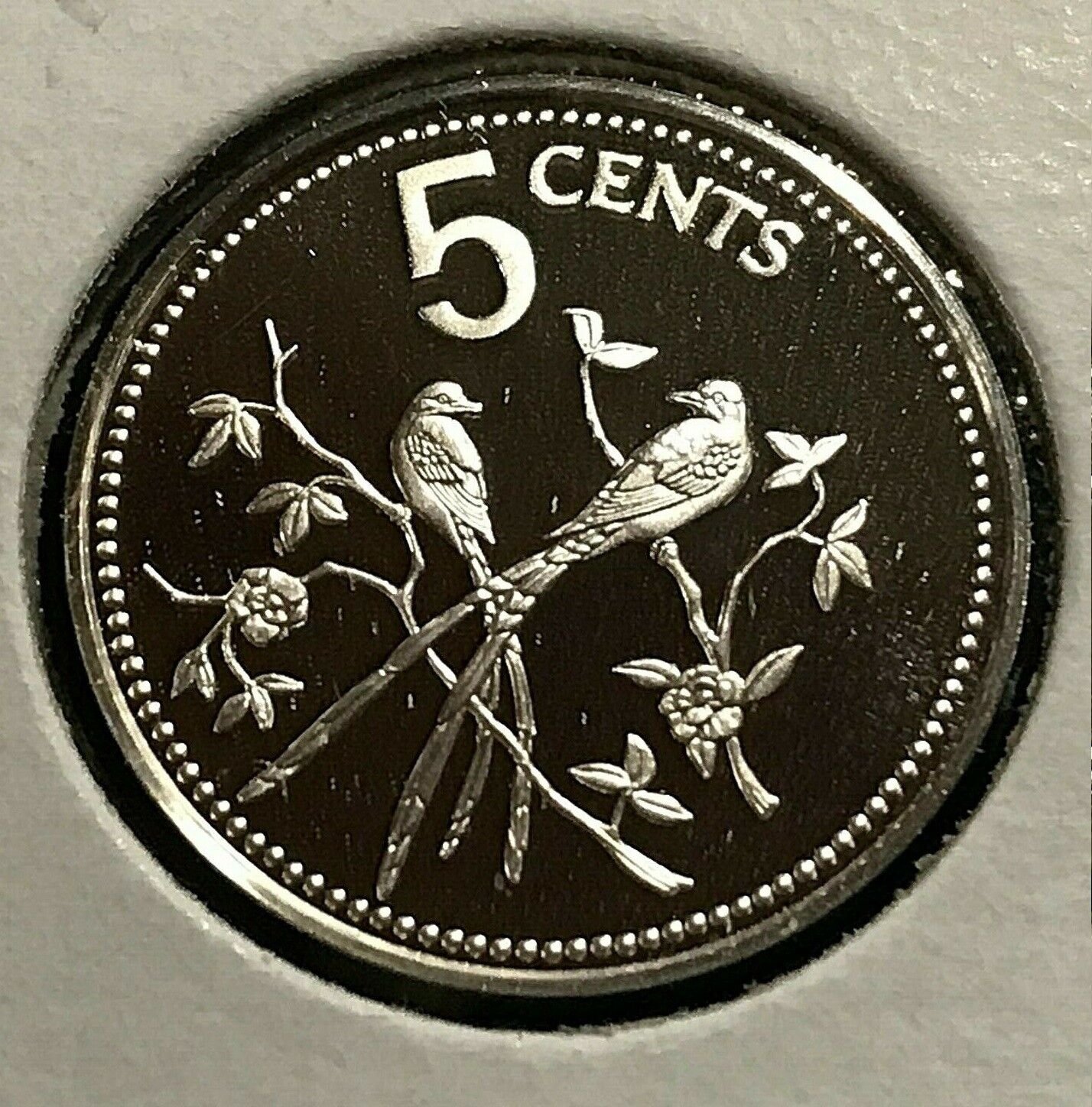 1977 Belize Sterling Silver Proof 5 cents-Birds- Fork-tailed flycatchers