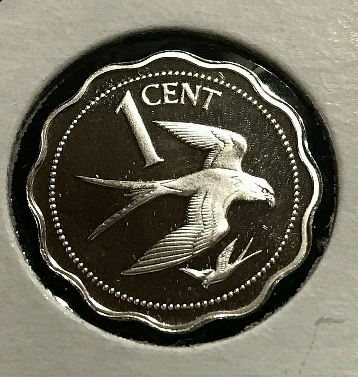 1978 Belize Sterling Silver Proof 1 cent-Birds-Swallow-tailed Kite