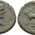 Ancient Rome 198-217 AD CAPPADOCIA Tyana Caracalla Priest Oxen