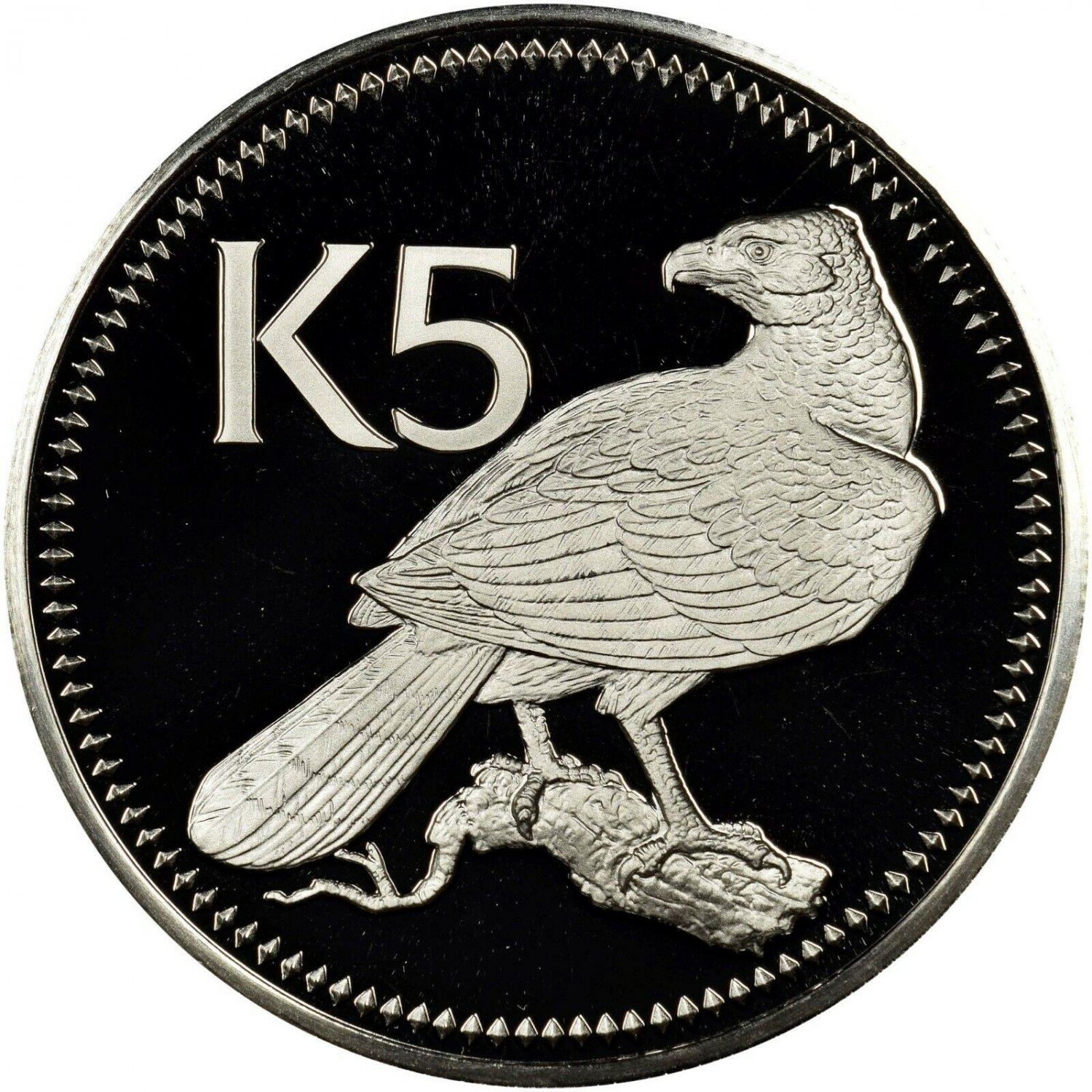 1980 Papua New Guinea Large Silver Proof 5 Kina -Birds-Eagle/paradise