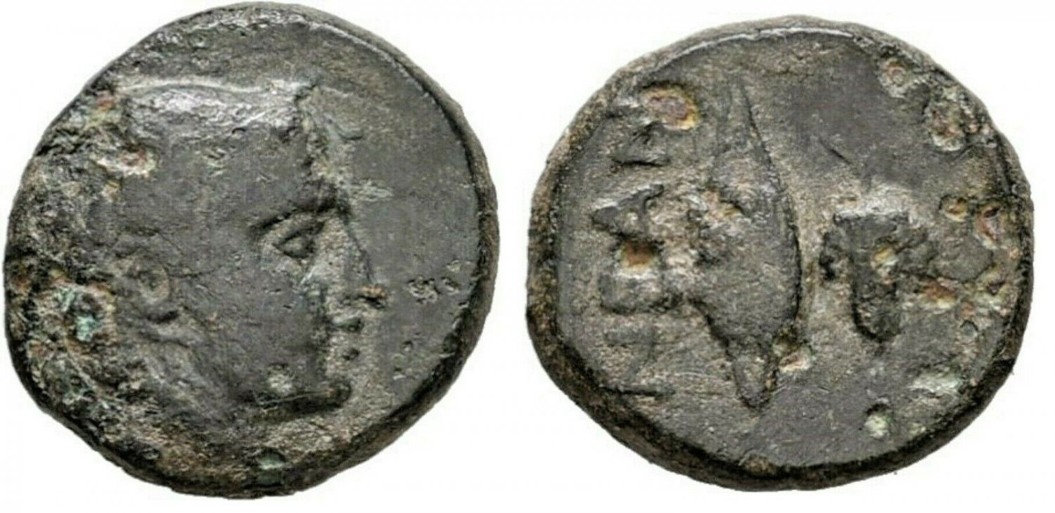 Ancient Greece 2 Cent BC Troas Neandreia  Apollo Barley Grape