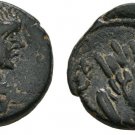 Ancient Rome AD 218-222 Mesopotamia Edessa Elagabal Turreted Tyche