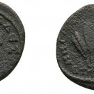 Ancient Rome CAPPADOCIA CAESAREA 222-235 AD SEVERUS ALEXANDER BARLEY
