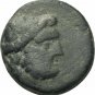 Ancient Greece 3 Cent BC  Apollo Bull