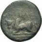 Ancient Greece 3 Cent BC  Apollo Bull