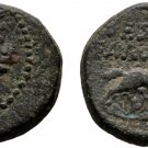 Rare Ancient Rome 187-167 BC MACEDON THESSALONICA HOMONOIA HORSE