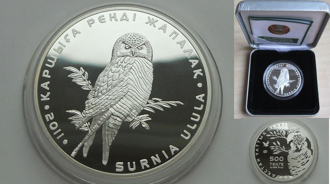 2011 Kazakhstan Large Silver Proof 500 T Hawk-Owl-Nice Box