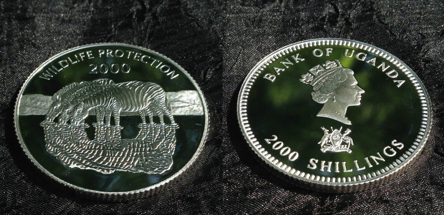 2000 Uganda Large Silver Proof 2000 shillings- Zebra
