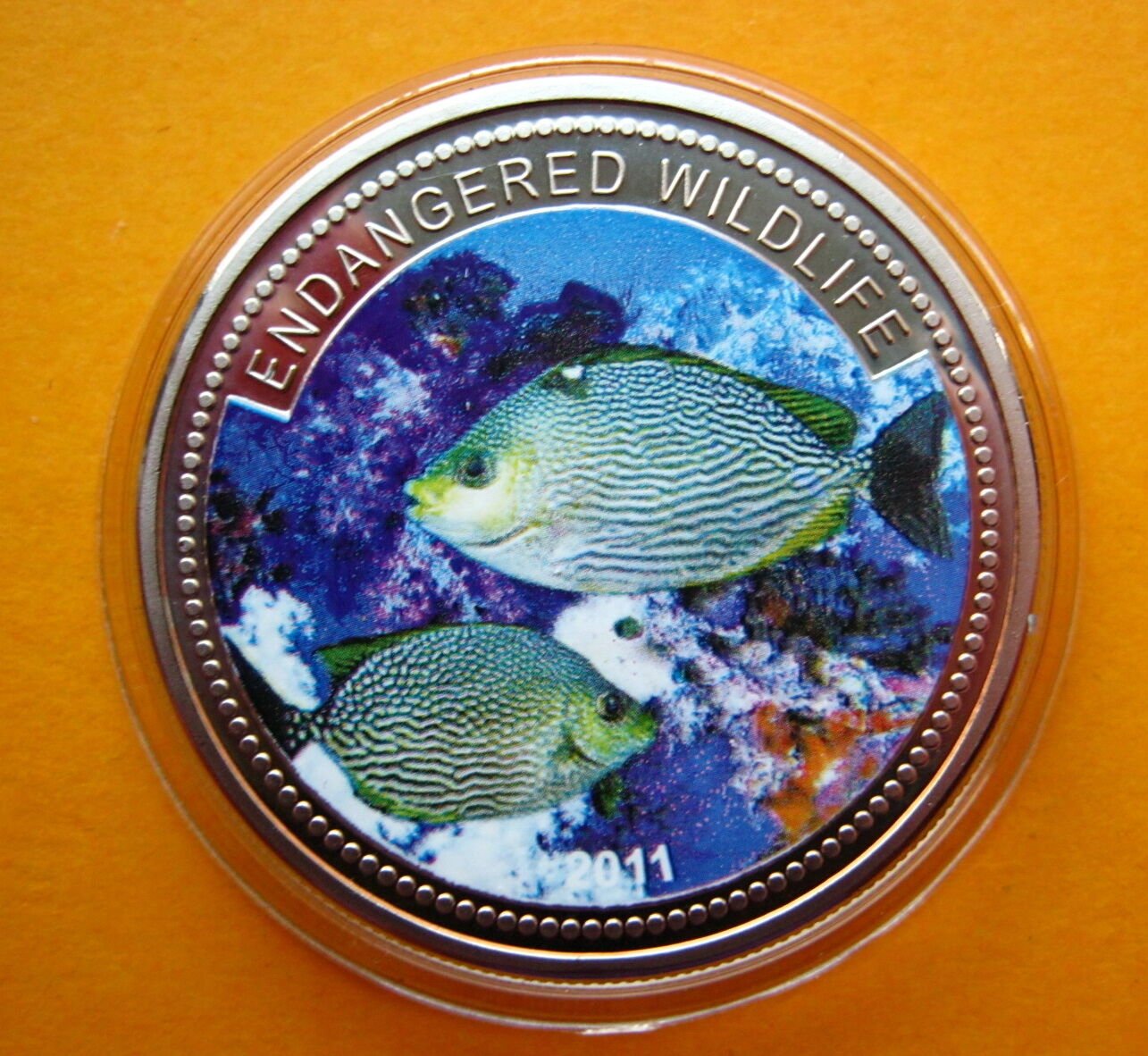 2011 Palau Large Color Proof $1 Tropical Green Fish/Mermaid/Neptune