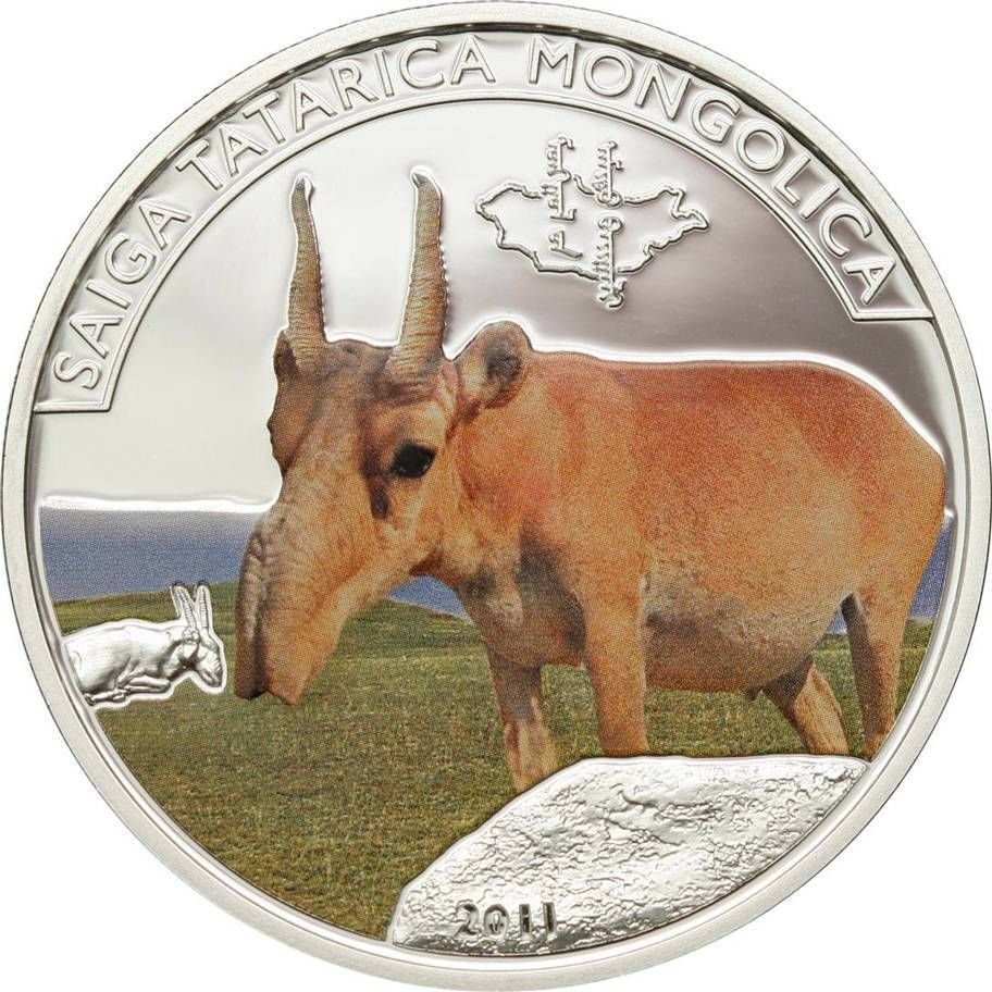 2011 Mongolia Large Color Silver Proof 500 T Saiga Antelope