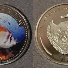 2009 Palau Large Proof color $1 Butterfly fish/Neptune/Mermaid