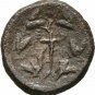 Ancient Greece 2-1 Cent BC AEOLIS ELAIA Demeter Torch