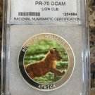 2005 Malawi Large Proof 10 Kwacha Endangered animals-Lion Cub Slabbed
