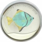 2005 Congo Large Color Hologram 5 fr Cyan/Yellow/Black Fish