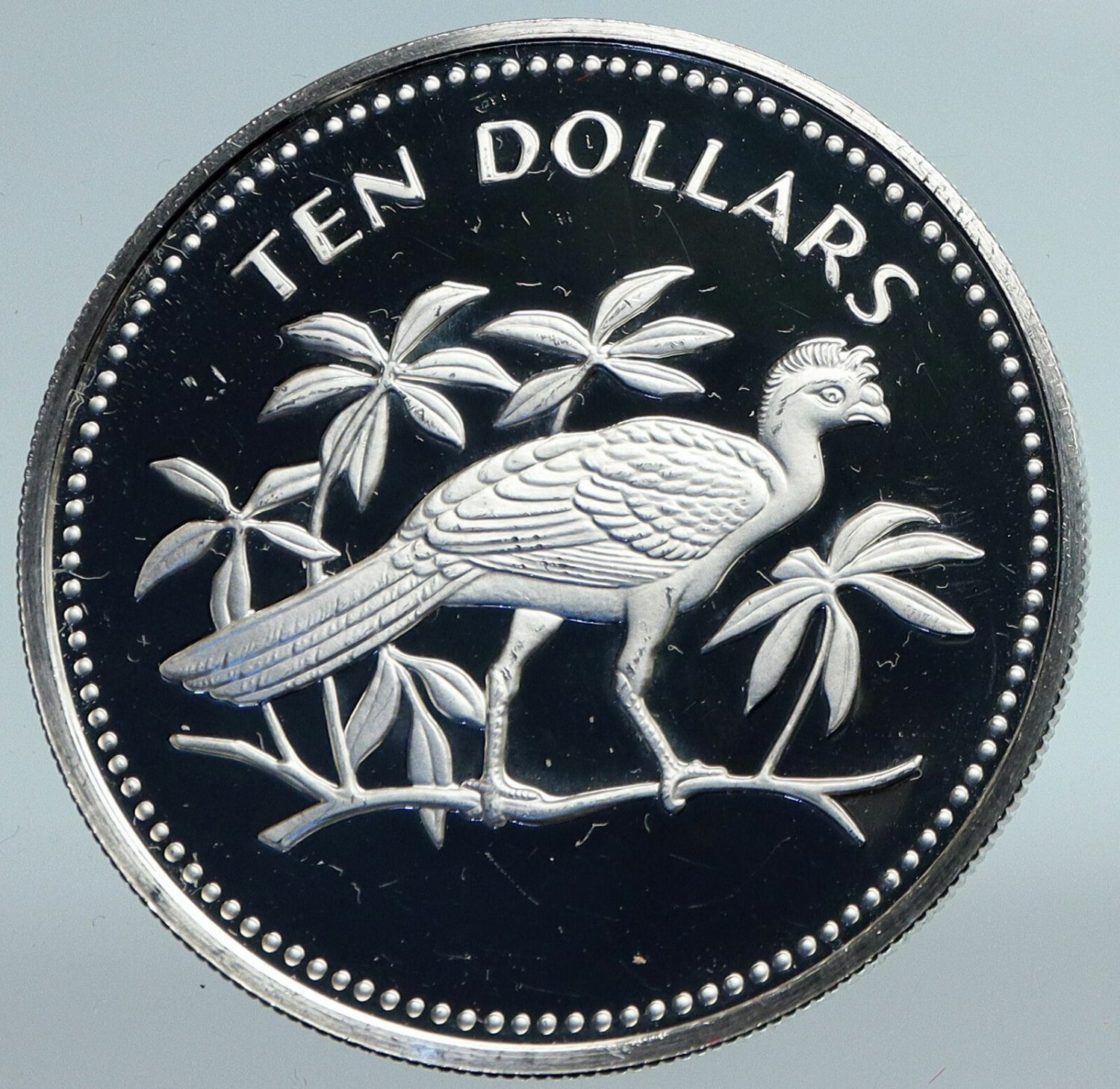 1978 Belize Large Sterling Silver Proof $10-Birds-Great Curassow