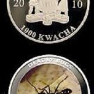 Zambia 2010 Large Color 1000 Kwacha-Deadly Insects-Bullet Ant